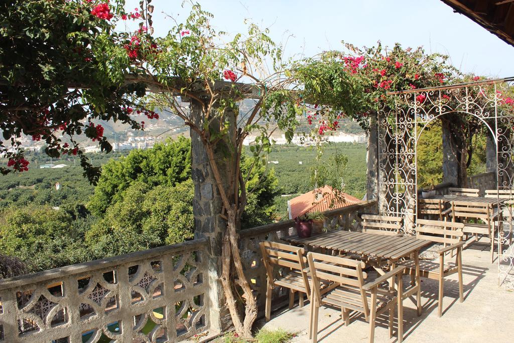 Camping Tropical Almuñécar Rom bilde